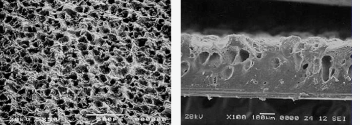 Surface SEM photo Cross-section SEM photo